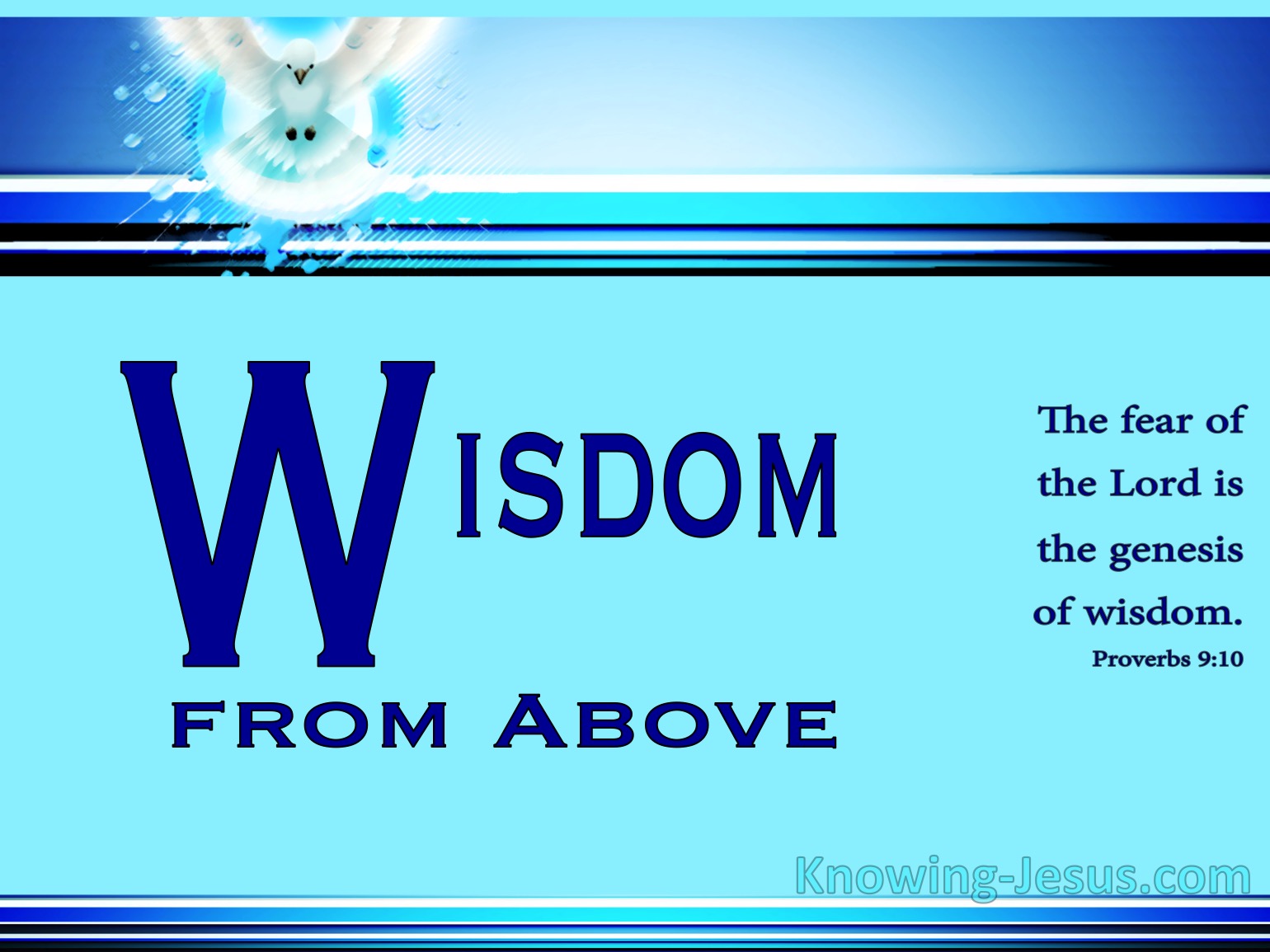 wisdom-from-above-in-god-s-image